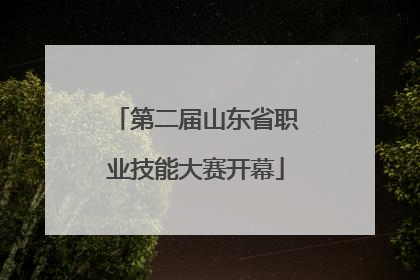 第二届山东省职业技能大赛开幕