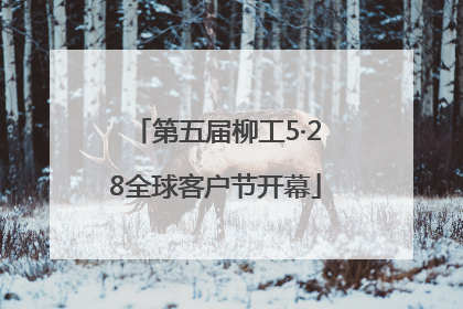 第五届柳工5·28全球客户节开幕