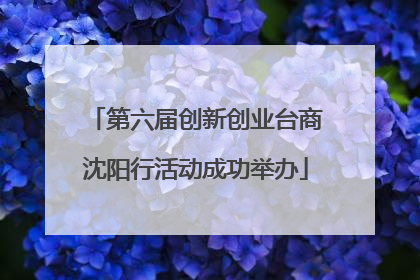第六届创新创业台商沈阳行活动成功举办