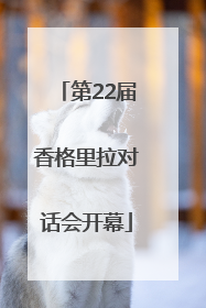 第22届香格里拉对话会开幕