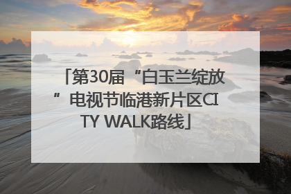 第30届“白玉兰绽放”电视节临港新片区CITY WALK路线