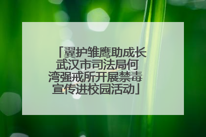 翼护雏鹰助成长 武汉市司法局何湾强戒所开展禁毒宣传进校园活动
