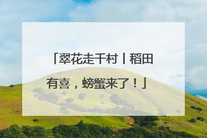 翠花走千村丨稻田有喜，螃蟹来了！