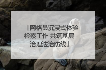 网格员沉浸式体验检察工作 共筑基层治理法治防线