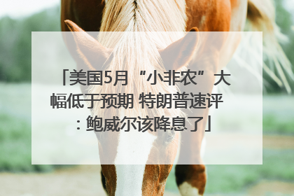 美国5月“小非农”大幅低于预期 特朗普速评：鲍威尔该降息了