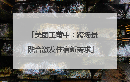 美团王莆中：跨场景融合激发住宿新需求