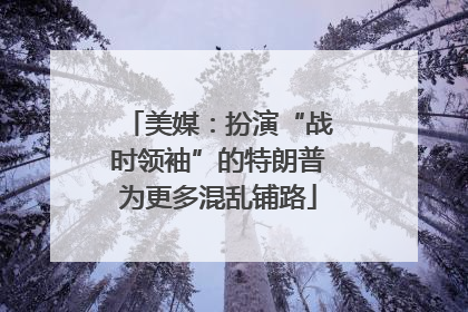 美媒：扮演“战时领袖”的特朗普为更多混乱铺路