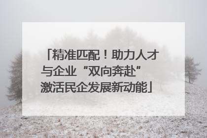 精准匹配！助力人才与企业“双向奔赴” 激活民企发展新动能