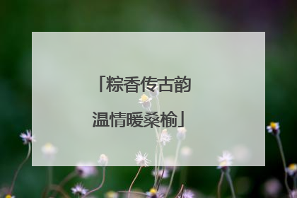 粽香传古韵 温情暖桑榆