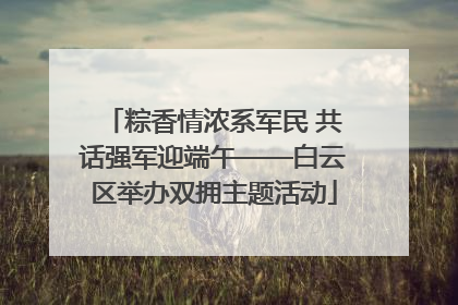 粽香情浓系军民 共话强军迎端午——白云区举办双拥主题活动