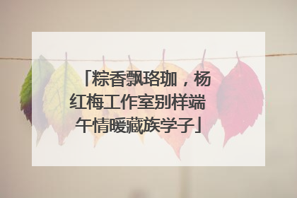 粽香飘珞珈，杨红梅工作室别样端午情暖藏族学子