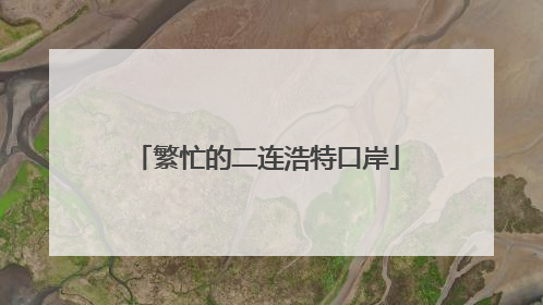 繁忙的二连浩特口岸