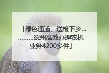绿色通道、送检下乡…………德州高效办理农机业务4200多件