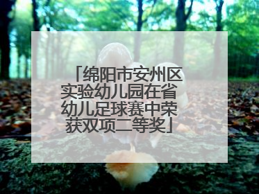 绵阳市安州区实验幼儿园在省幼儿足球赛中荣获双项二等奖