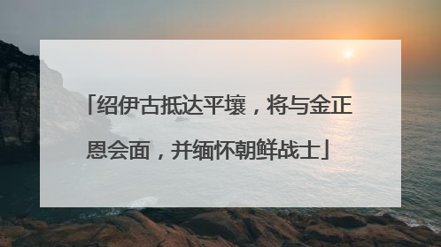 绍伊古抵达平壤，将与金正恩会面，并缅怀朝鲜战士