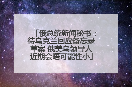 俄总统新闻秘书：待乌克兰回应备忘录草案 俄美乌领导人近期会晤可能性小