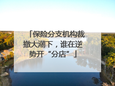 保险分支机构裁撤大潮下，谁在逆势开“分店”