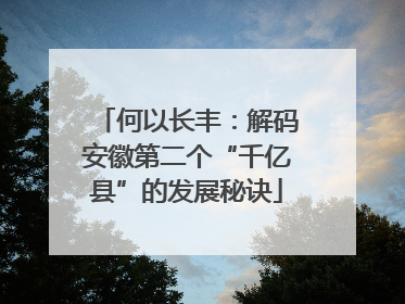何以长丰：解码安徽第二个“千亿县”的发展秘诀