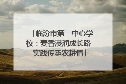 临汾市第一中心学校：麦香浸润成长路 实践传承农耕情