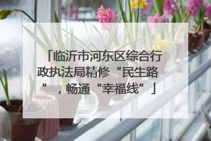 临沂市河东区综合行政执法局精修“民生路”，畅通“幸福线”
