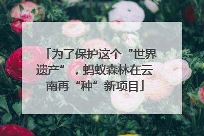 为了保护这个“世界遗产”，蚂蚁森林在云南再“种”新项目