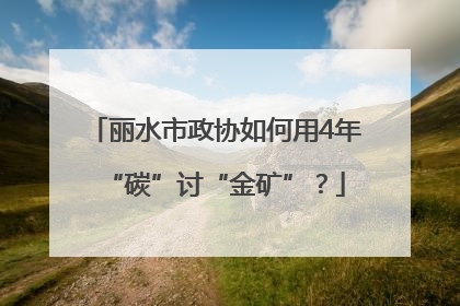 丽水市政协如何用4年“碳”讨“金矿”？
