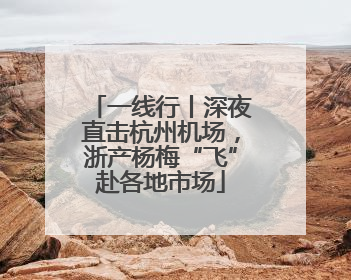 一线行丨深夜直击杭州机场，浙产杨梅“飞”赴各地市场