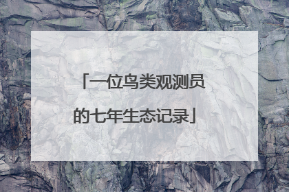 一位鸟类观测员的七年生态记录