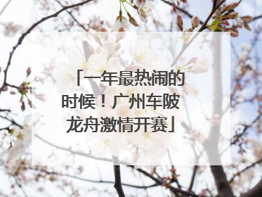 一年最热闹的时候！广州车陂龙舟激情开赛