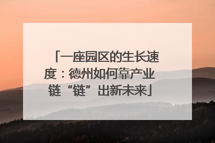 一座园区的生长速度：德州如何靠产业链“链”出新未来