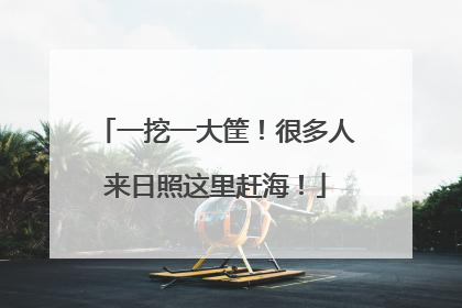 一挖一大筐！很多人来日照这里赶海！
