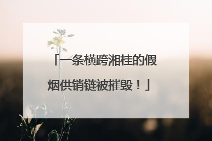 一条横跨湘桂的假烟供销链被摧毁！