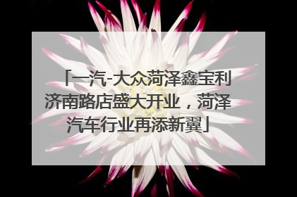 一汽-大众菏泽鑫宝利济南路店盛大开业，菏泽汽车行业再添新翼