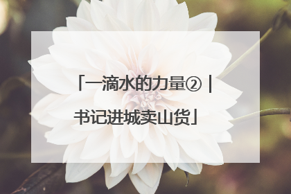 一滴水的力量②｜书记进城卖山货
