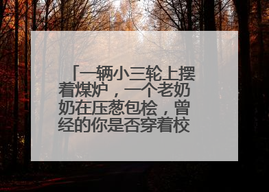 一辆小三轮上摆着煤炉，一个老奶奶在压葱包桧，曾经的你是否穿着校服等着吃