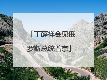 丁薛祥会见俄罗斯总统普京