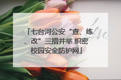 七台河公安“查、练、改”三措并举 织密校园安全防护网