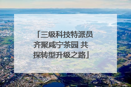 三级科技特派员齐聚咸宁茶园 共探转型升级之路