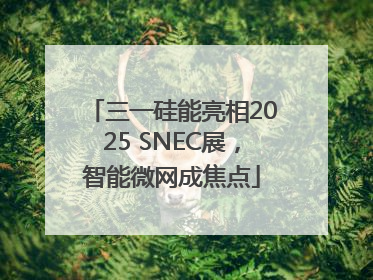 三一硅能亮相2025 SNEC展，智能微网成焦点