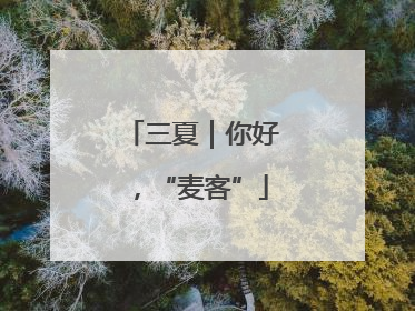 三夏｜你好，“麦客”
