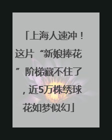 上海人速冲！这片“新娘捧花”阶梯藏不住了，近5万株绣球花如梦似幻