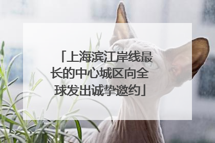 上海滨江岸线最长的中心城区向全球发出诚挚邀约