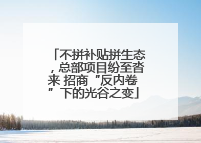 不拼补贴拼生态，总部项目纷至沓来 招商“反内卷”下的光谷之变