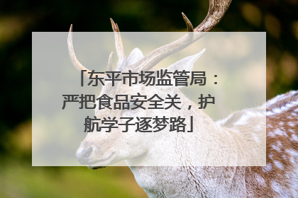 东平市场监管局：严把食品安全关，护航学子逐梦路
