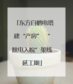 东方白鹳电塔建“产房” “陕电入皖”架线延工期