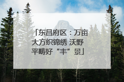 东昌府区：万亩大方织锦绣 沃野平畴好“丰”景