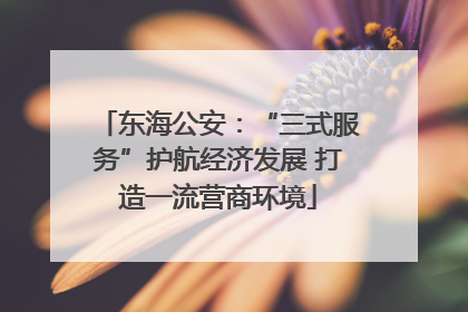 东海公安：“三式服务”护航经济发展 打造一流营商环境