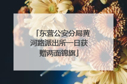 东营公安分局黄河路派出所一日获赠两面锦旗