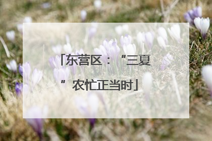 东营区：“三夏”农忙正当时