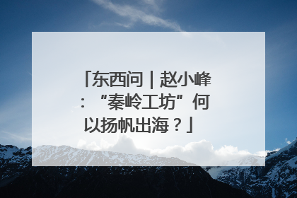 东西问｜赵小峰：“秦岭工坊”何以扬帆出海？